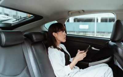 Is Wearing a Seatbelt in the Backseat Required in Florida?